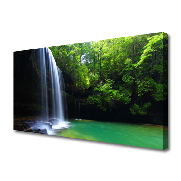 Quadro canvas Cachoeira Natureza Floresta Lago