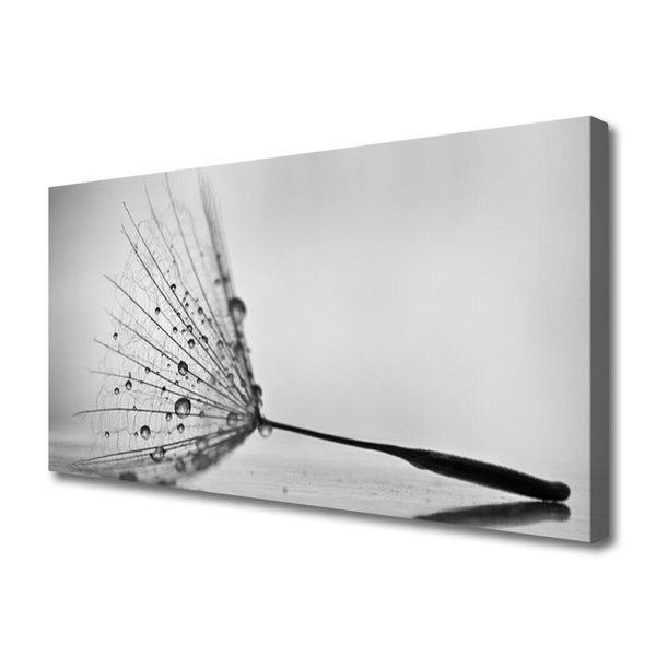 Quadro canvas Sementes de dente-de-leão