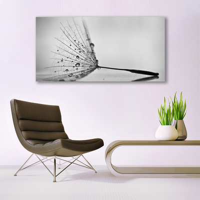 Quadro canvas Sementes de dente-de-leão