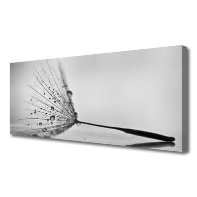Quadro canvas Sementes de dente-de-leão