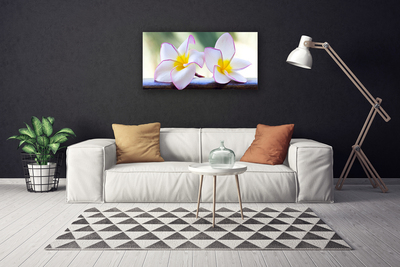 Quadro canvas Flores Pétalas de Plumeria