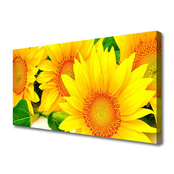 Quadro canvas Natureza da Flor do Girassol