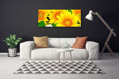 Quadro canvas Natureza da Flor do Girassol