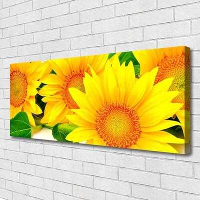 Quadro canvas Natureza da Flor do Girassol