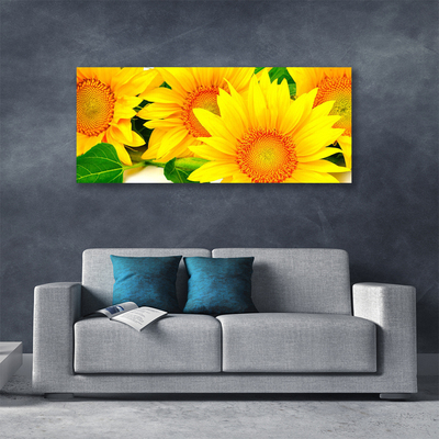 Quadro canvas Natureza da Flor do Girassol