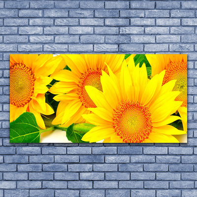 Quadro canvas Natureza da Flor do Girassol