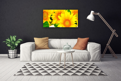 Quadro canvas Natureza da Flor do Girassol
