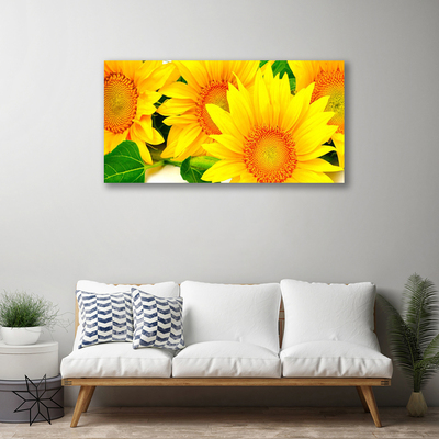 Quadro canvas Natureza da Flor do Girassol