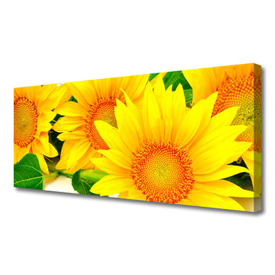 Quadro canvas Natureza da Flor do Girassol