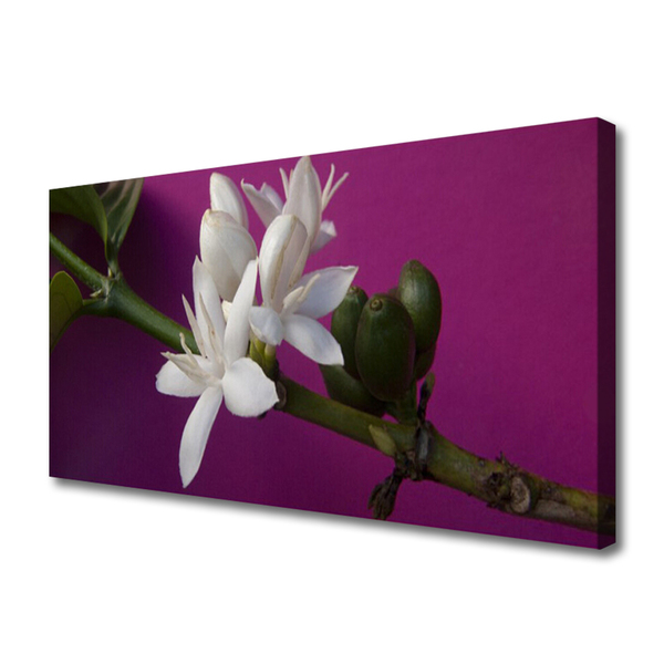 Quadro canvas Flores Brotos Natureza Planta