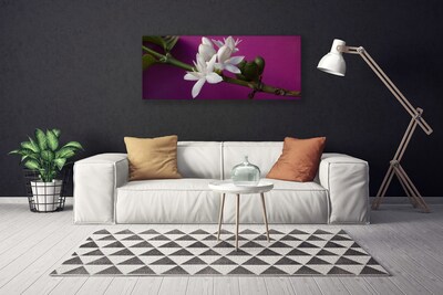 Quadro canvas Flores Brotos Natureza Planta
