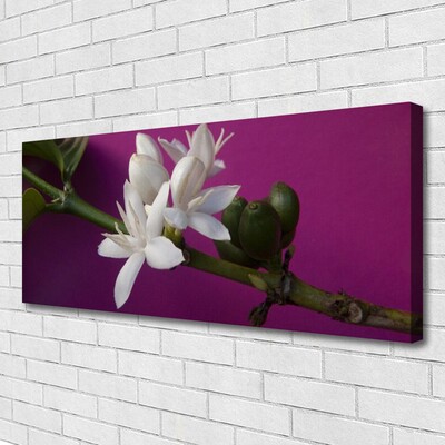 Quadro canvas Flores Brotos Natureza Planta