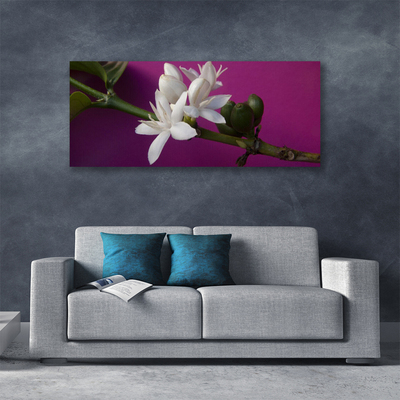 Quadro canvas Flores Brotos Natureza Planta