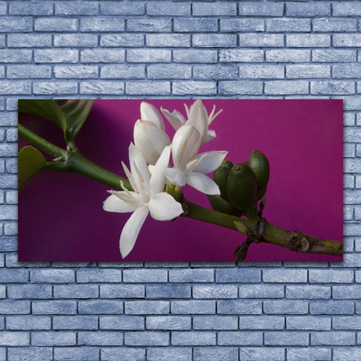 Quadro canvas Flores Brotos Natureza Planta