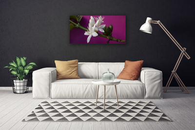 Quadro canvas Flores Brotos Natureza Planta