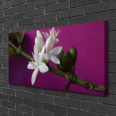 Quadro canvas Flores Brotos Natureza Planta