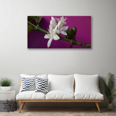 Quadro canvas Flores Brotos Natureza Planta