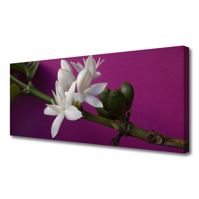 Quadro canvas Flores Brotos Natureza Planta