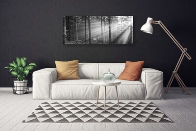 Quadro canvas Floresta Natureza Raios Sol