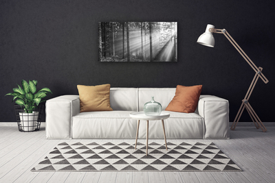 Quadro canvas Floresta Natureza Raios Sol