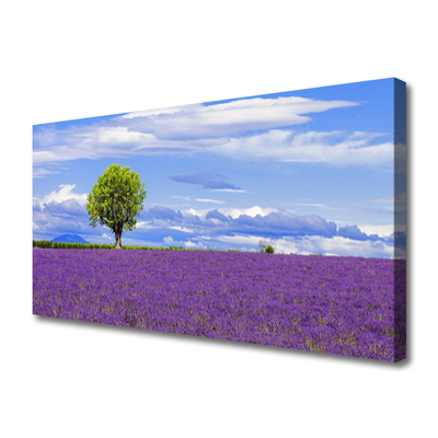 Quadro em tela Campo de Lavanda Árvore Natureza