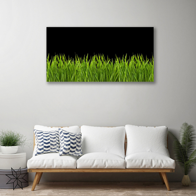 Quadro em tela Natureza da grama verde