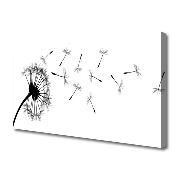 Quadro canvas Flor de dente-de-leão