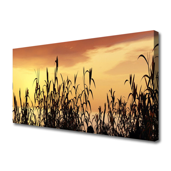 Quadro em tela Folhas Sunset Meadow Field