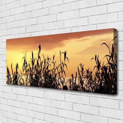 Quadro em tela Folhas Sunset Meadow Field