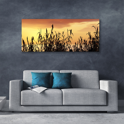 Quadro em tela Folhas Sunset Meadow Field