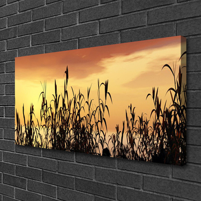 Quadro em tela Folhas Sunset Meadow Field