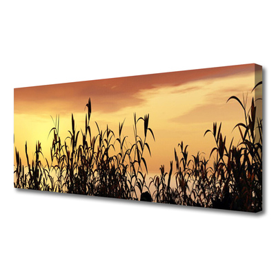 Quadro em tela Folhas Sunset Meadow Field