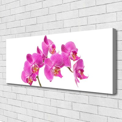 Quadro canvas Flores de orquídeas Natureza