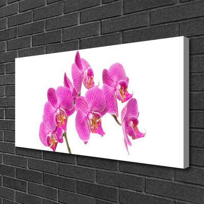 Quadro canvas Flores de orquídeas Natureza