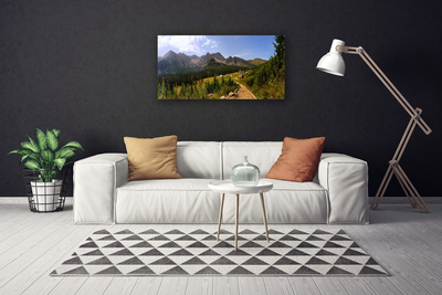 Quadro em tela Montanhas Montanhas Estrada Natureza Prado