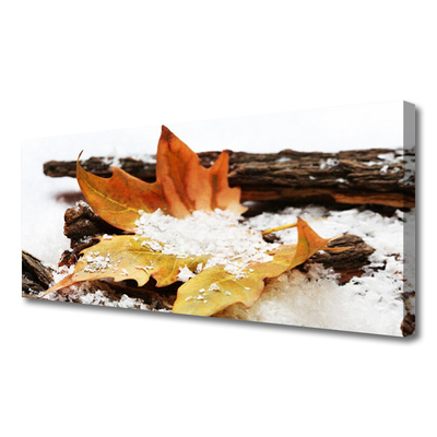 Quadro em tela Floresta de folhas Outono Natureza