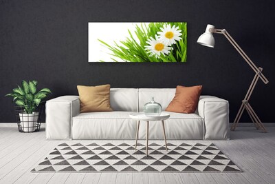 Quadro canvas Margarida Flor Natureza