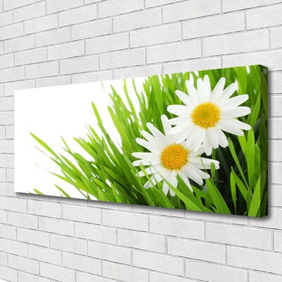 Quadro canvas Margarida Flor Natureza