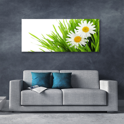 Quadro canvas Margarida Flor Natureza