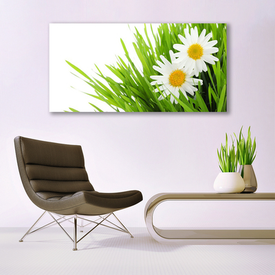Quadro canvas Margarida Flor Natureza
