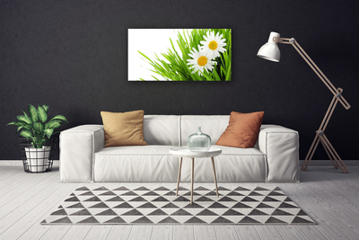 Quadro canvas Margarida Flor Natureza