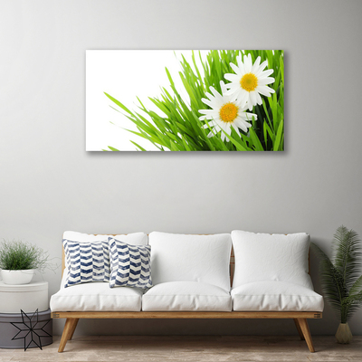 Quadro canvas Margarida Flor Natureza