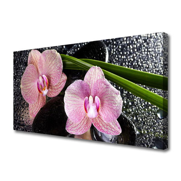 Quadro em tela Flores Orquídea Orquídea Zen