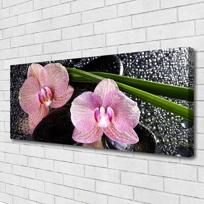 Quadro em tela Flores Orquídea Orquídea Zen
