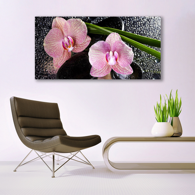 Quadro em tela Flores Orquídea Orquídea Zen