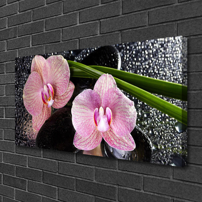 Quadro em tela Flores Orquídea Orquídea Zen