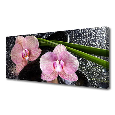 Quadro em tela Flores Orquídea Orquídea Zen