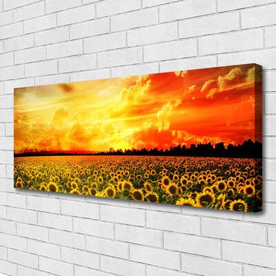 Quadro em tela Flores de girassóis do prado