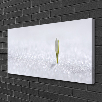 Quadro em tela Floco de neve no inverno