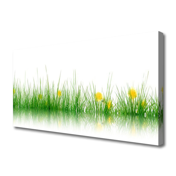 Quadro canvas Natureza Grama Flores